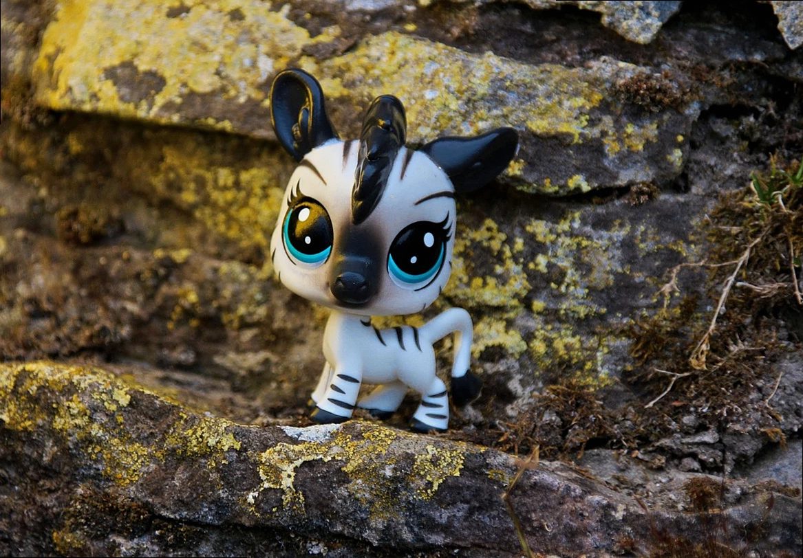 littlest pet shop, toy, figure, to play, fun, children, together, friendship, funny, zebra, stone, forest, nature, mason